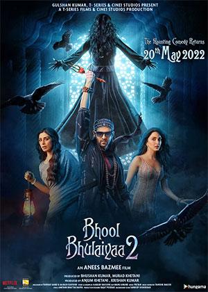 Bhool Bhulaiyaa 2 (2022) Hindi Full Movie WEB-DL 480p | 720p | 1080p | 2160p 4K