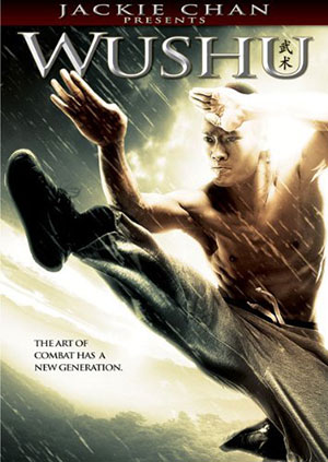 Jackie Chan Presents: Wushu (2008) Dual Audio {Hindi-English} 480p | 720p | 1080p