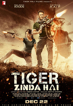 Tiger Zinda Hai (2017) BluRay Hindi Full Movie 480p | 720p | 1080p