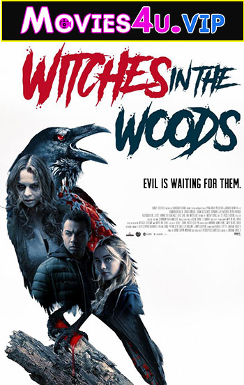 Witches In The Woods (2019) Dual Audio {Hindi-English} 480p | 720p | 1080p