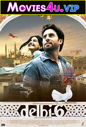 Delhi 6 (2009) Hindi Full Movie WEB-DL 480p | 720p | 1080p