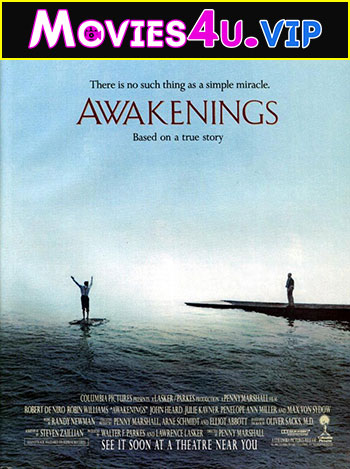 Awakenings (1990) Dual Audio {Hindi-English} 480p | 720p | 1080p