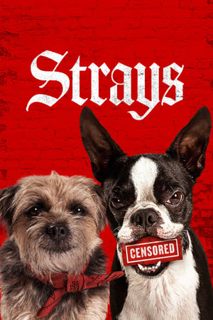 Strays (2023) BluRay Dual Audio {Hindi-English} 480p | 720p | 1080p