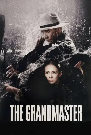 The Grandmaster (2013) BluRay Dual Audio 480p | 720p | 1080p