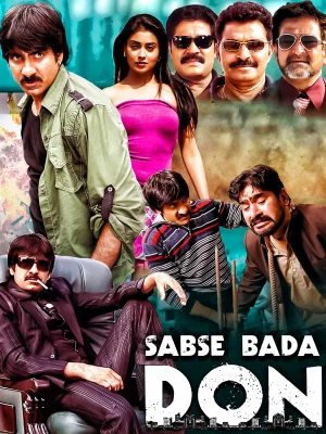 Sabse Bada Don – Don Seenu (2010) BluRay Dual Audio Full Movie 480p | 720p | 1080p