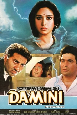 Damini (1993) WEB-DL Hindi Full Movie 480p | 720p | 1080p